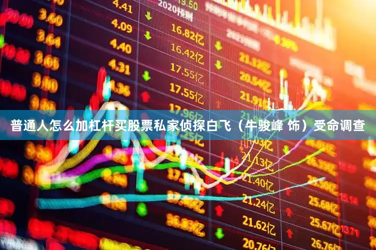 普通人怎么加杠杆买股票私家侦探白飞（牛骏峰 饰）受命调查