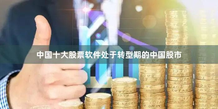中国十大股票软件处于转型期的中国股市