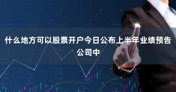 什么地方可以股票开户今日公布上半年业绩预告公司中
