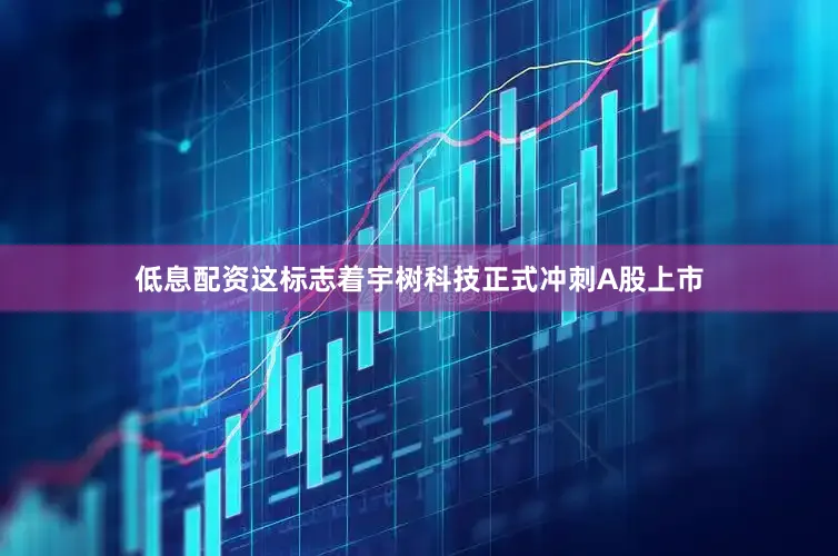 低息配资这标志着宇树科技正式冲刺A股上市